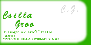 csilla groo business card